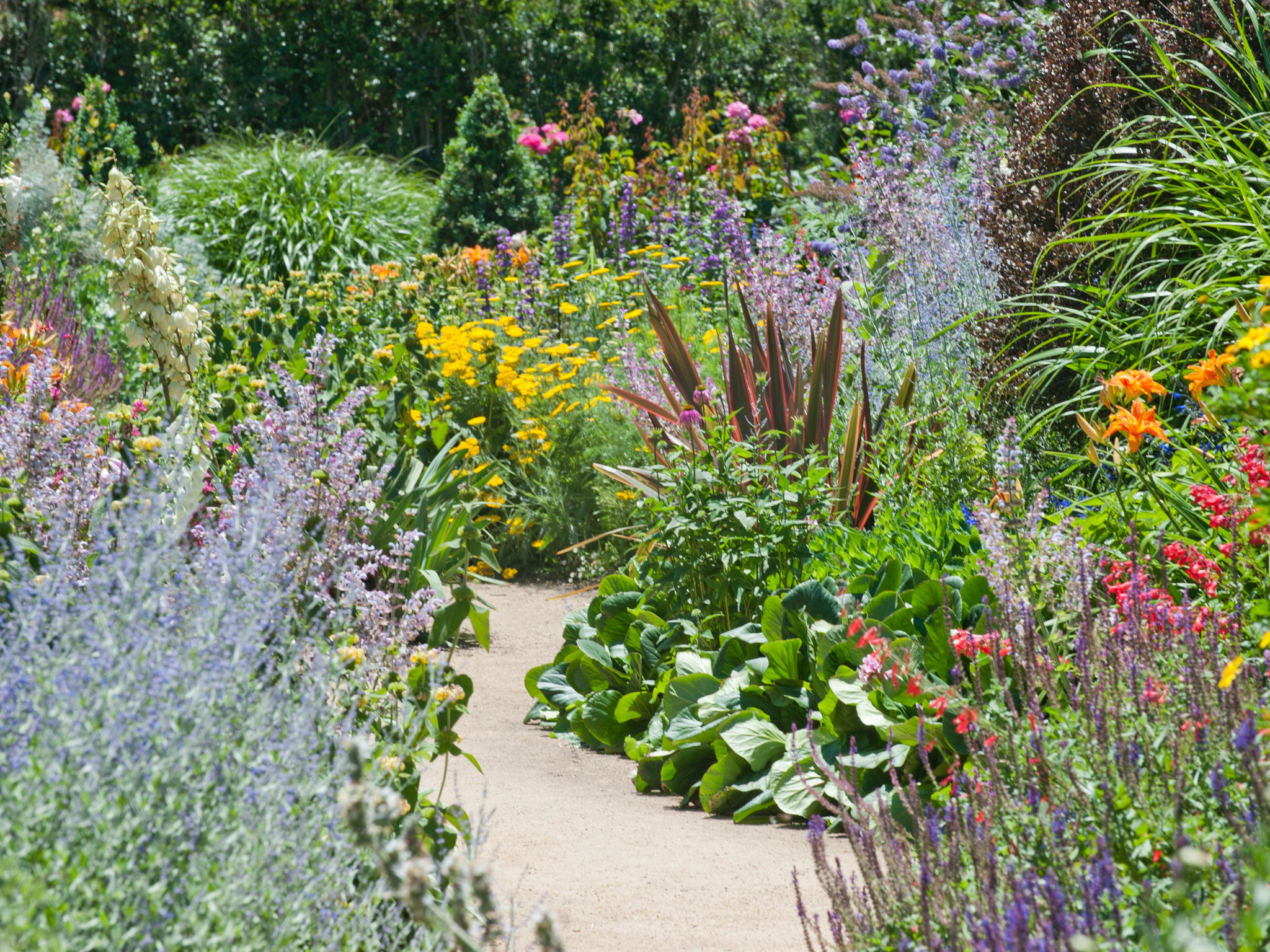 08. Perennial Border